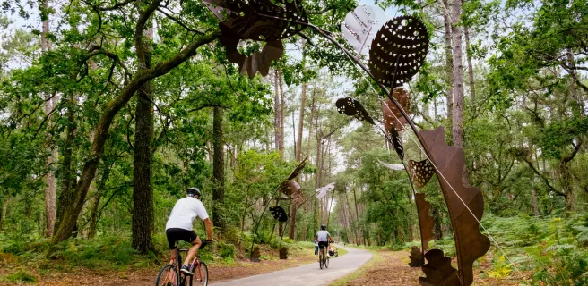 The Landes, between pines, lakes and ocean