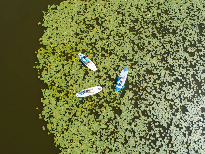 Etang de Soustons