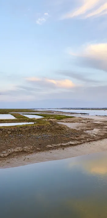estuaire_de_la_seudre.jpg