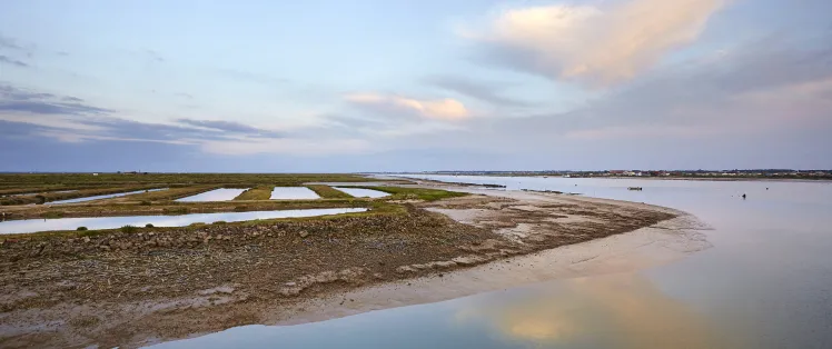estuaire_de_la_seudre.jpg