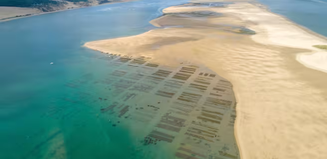 Arcachon / Biscarrosse-plage